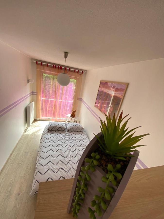 Decouvrez Le Charme Au Coeur De Gap Apartment Luaran gambar